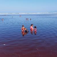 a group of people in the water at the beach at Camping rock in Itanhaém
