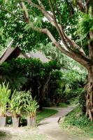 Zahrada ubytování Tolani Southgate Villa Chiang Mai