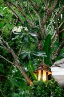Zahrada ubytování Tolani Southgate Villa Chiang Mai