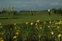 Goście zatrzymujący się w obiekcie Golf Club Metaponto
