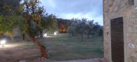 Vonkajšia záhrada v ubytovaní Agriturismo IL VECCHIO OLIVO