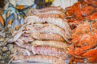 Φαγητό σε αυτό το ξενοδοχείο ή κάπου εκεί κοντά