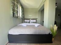 Posteľ alebo postele v izbe v ubytovaní Rooftop Apartment with Garden in Ioannina
