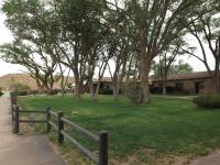 Ein Garten an der Unterkunft Thunderbird Lodge