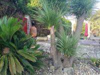 Zahrada ubytování La Torre del Indiano-Villa-