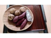 ホテルの敷地内または近くでの食事または食べ物