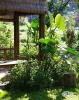 a garden with a gazebo and some plants at Thai House Pu Luong - Century Old Stilt House with Terrace Views in Hương Bá Thước