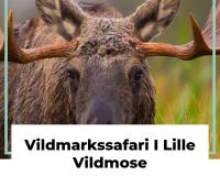 Zvířata v prázdninového domu nebo okolí