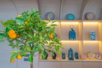 un albero di arance davanti a uno scaffale con vasi di Romatem Move İstanbul Disabled Hotel a Istanbul