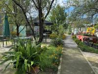 Zahrada ubytování Kantora19