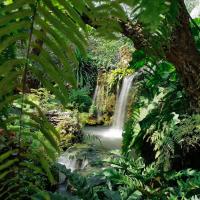 een waterval in de jungle met een palmboom bij Natural Place in Ban Khan Ham