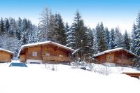 Obiekt Chalets in Eben im Pongau zimą