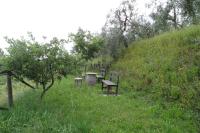 Vonkajšia záhrada v ubytovaní Holiday home Cerbaiola, Lamporecchio