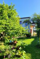 Zahrada ubytování Apartmán Husovka Bruntál - pokoj MATYAS