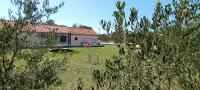 Ogród w obiekcie Holiday Home Tuta