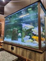 Un gran acuario con muchos peces en él. en Hotel Sebas 202, en Caracas