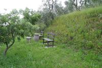 Vonkajšia záhrada v ubytovaní Holiday home Cerbaiola, Lamporecchio