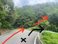 カントリーハウスの近くで見られる自然の景観