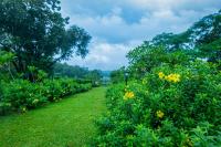Mansao Curtorim - A CGH Earth SAHA Experienceにある庭