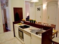 A kitchen or kitchenette at Gabriel Apartment