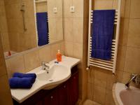 A bathroom at Gabriel Apartment
