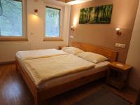 Postel nebo postele na pokoji v ubytování Lake House Sebanc