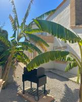 A garden outside Bonaire Beach House