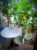 A garden outside Mimoza İstiklal Apart Hotel