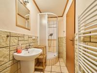Koupelna v ubytování Studio Chlívce u Hronova-1 by Interhome