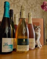 Nápoje v ubytování Apollo Boutique Hotel