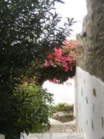 A garden outside Artemis Apartments