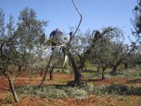 Plán poschodí v ubytovaní Agriturismo Laire Masseria