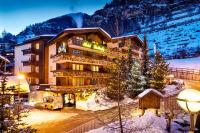 ツェルマットにあるHotel Butterflyの夜の雪山のホテル