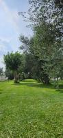 A garden outside Agriturismo La Rondine