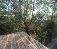 ein Dach eines Hauses mit Bäumen im Hintergrund in der Unterkunft Cozy Coop Casita - Lake Travis-Hot Tub-Tiny House in Austin