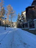 Apartament u Maliny v zime