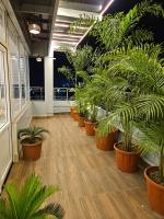a row of potted plants in an office building at HOTEL MAA LAXMI PALACE in Deoghar