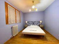 Postel nebo postele na pokoji v ubytování Apartamentos Jaca Ciudadela 3000