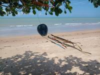 a kite hanging from a tree on a beach at Pousada ZEN Cumuruxatiba in Cumuruxatiba