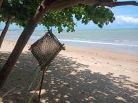 a swing hanging from a tree on the beach at Pousada ZEN Cumuruxatiba in Cumuruxatiba