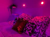 Łóżko lub łóżka w pokoju w obiekcie Loft privatisé avec spa XXL et piscine chauffée