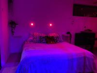Łóżko lub łóżka w pokoju w obiekcie Loft privatisé avec spa XXL et piscine chauffée