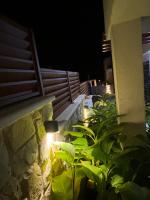 Vonkajšia záhrada v ubytovaní Luxury Apartman NR