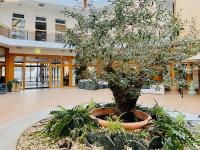 Zahrada ubytování Hotel Rabenstein
