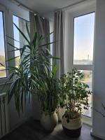 Balkón alebo terasa v ubytovaní RiverView apartment