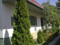 a house with a large green tree in front of it at Babarczi Üdülőház in Kiskunmajsa