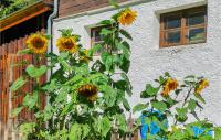 Ogród w obiekcie Ferienhaus Naehe Ischgl