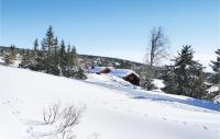 Cozy Home In Lillehammer With Sauna v zimě