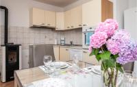Kuchyňa alebo kuchynka v ubytovaní Two-Bedroom Apartment In Zagvozd