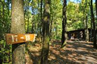 ein Holzschild an einem Baum in einem Wald in der Unterkunft Village de Vacances d&#39;Oignies in Oignies